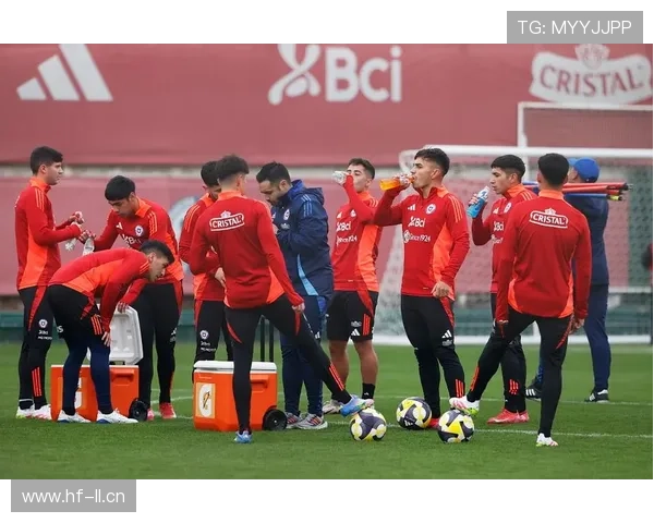 智利队中场控制